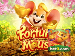 BET3 login — configurações de segurança e proteção de conta